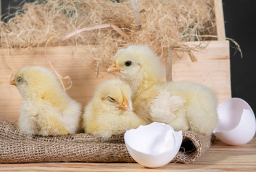 Similar image 21890651