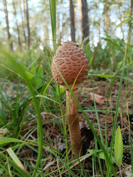 Similar image 21890451