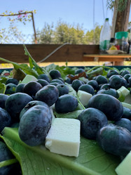 Similar image 21890841