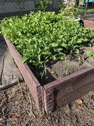 Similar image 21890874