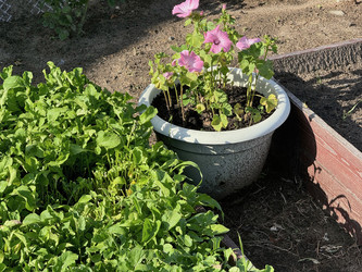 Similar image 21890875