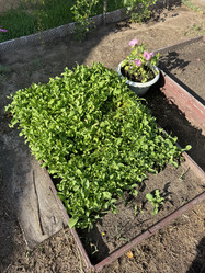 Similar image 21890877