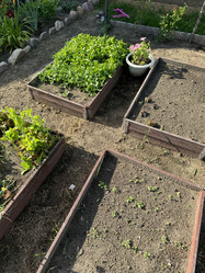 Similar image 21890878