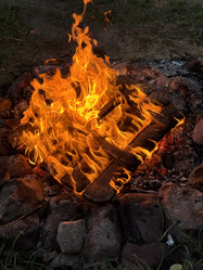 Similar image 21890883