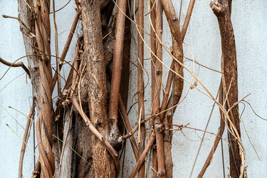 Similar image 21890458