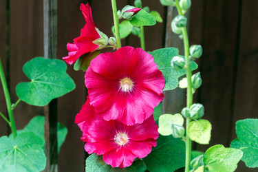 Similar image 21890463