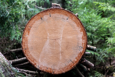 Similar image 21890464