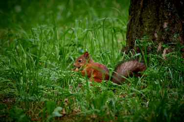 Similar image 21892173