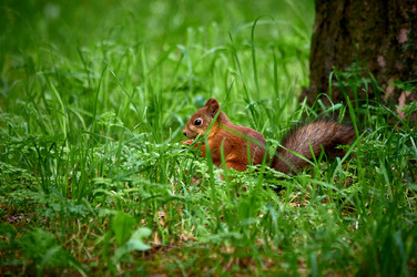 Similar image 21892174