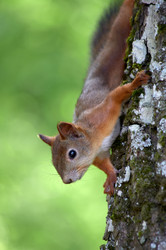 Similar image 21892178