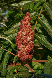 Similar image 21892180