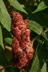 Similar image 21894175