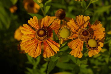 Similar image 21892298