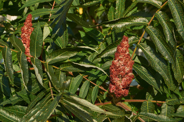 Similar image 21890469