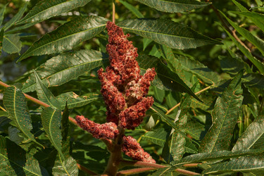 Similar image 21890470