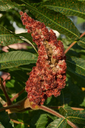 Similar image 21892182