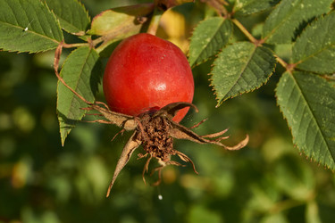 Similar image 21892183