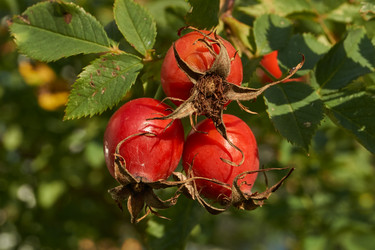 Similar image 21890471