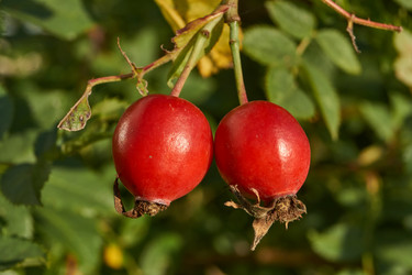 Similar image 21892184