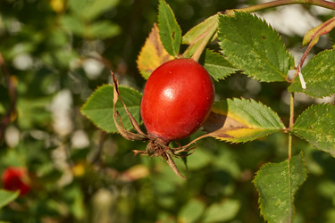 Similar image 21892301