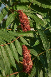 Similar image 21894178