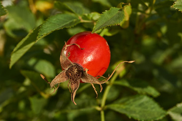 Similar image 21890473