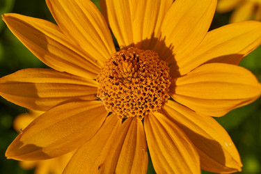 Similar image 21894180