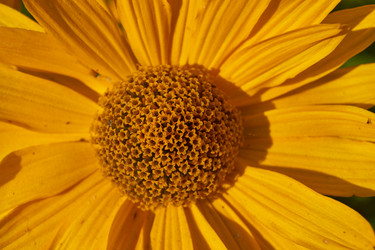 Similar image 21892304