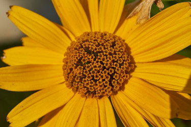 Similar image 21890475