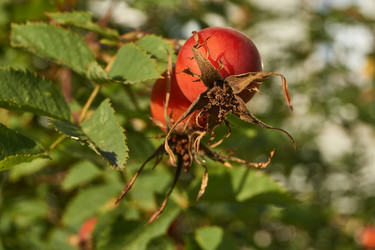 Similar image 21894181