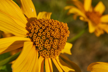 Similar image 21890476