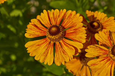 Similar image 21892187