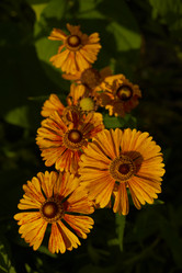 Similar image 21890478