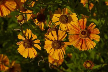 Similar image 21892189