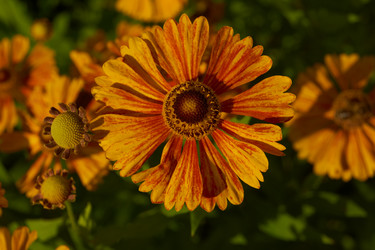 Similar image 21892305