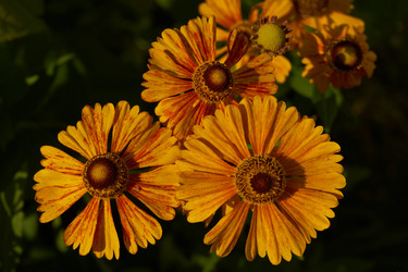 Similar image 21892306