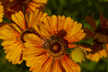 Similar image 21890479