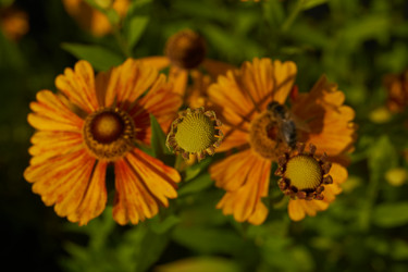 Similar image 21890480