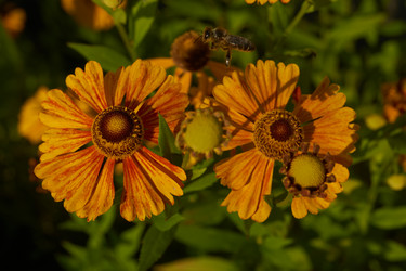 Similar image 21892190