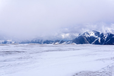 Similar image 21892751