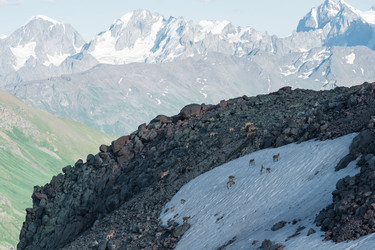 Similar image 21892768