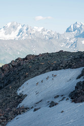 Similar image 21892770