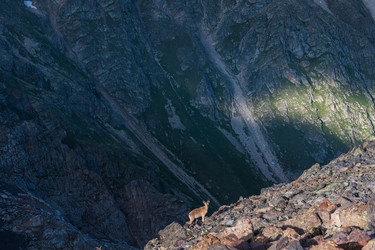 Similar image 21892771