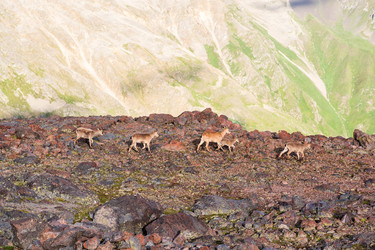 Similar image 21892772