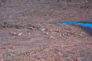 Similar image 21892773