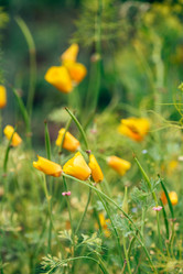 Similar image 21891024