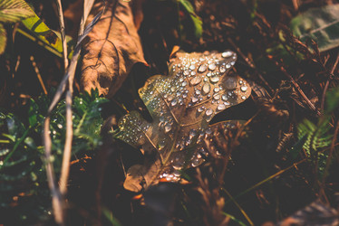 Similar image 21891099