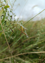 Similar image 21892192