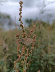 Similar image 21890482