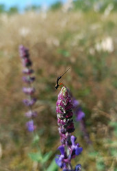 Similar image 21892193